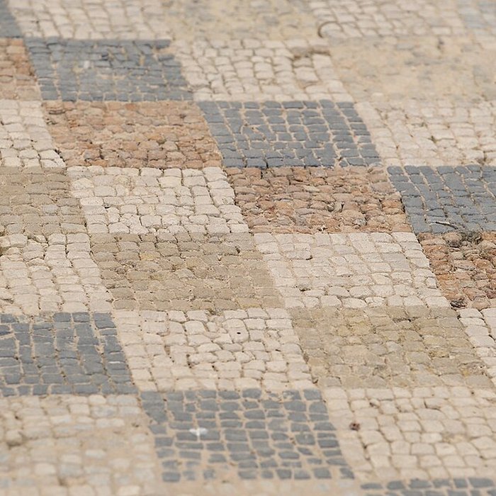 Photo de Villa gallo-romaine de Séviac à Montréal