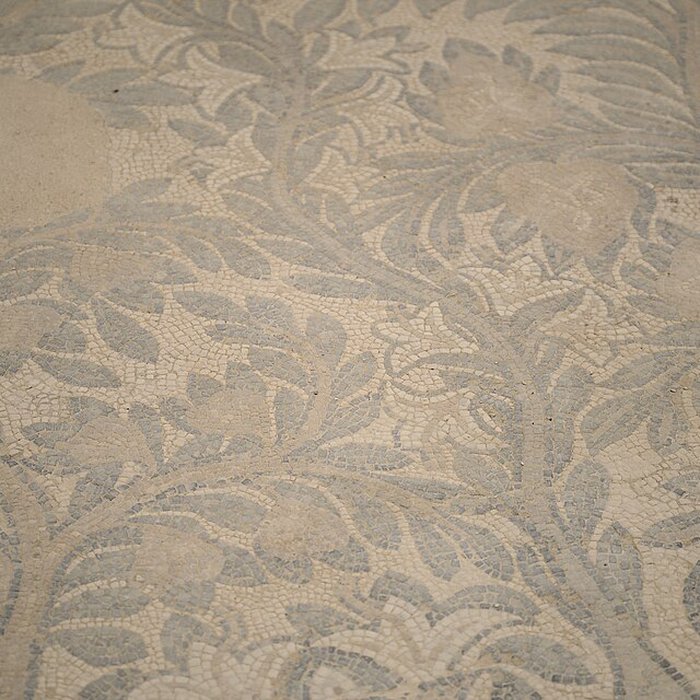 Photo de Villa gallo-romaine de Séviac à Montréal