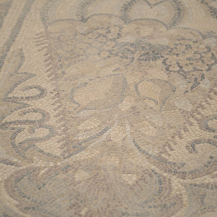 Photo de Villa gallo-romaine de Séviac à Montréal