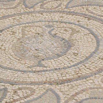 Villa gallo-romaine de Séviac à Montréal