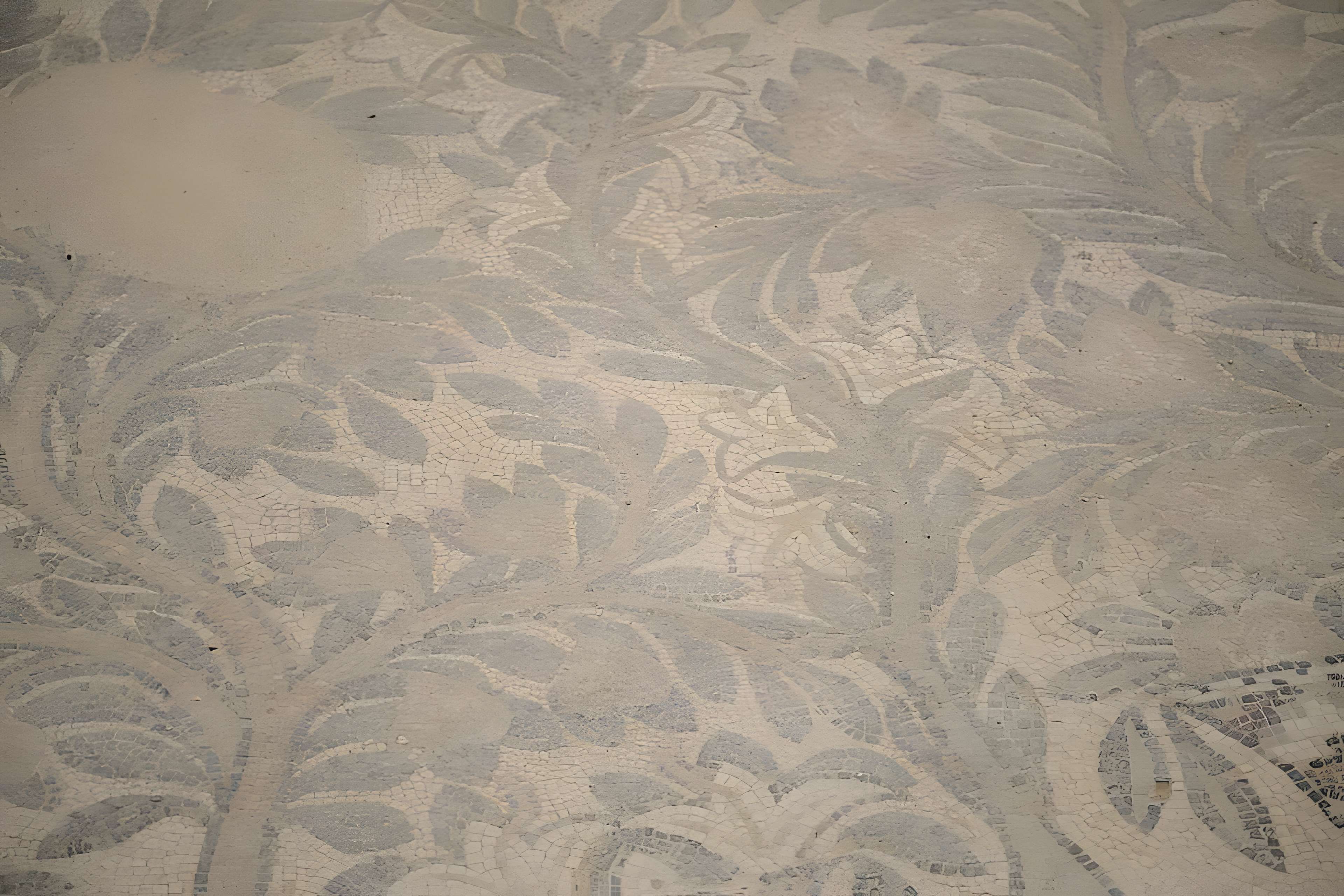 Villa gallo-romaine de Séviac à Montréal