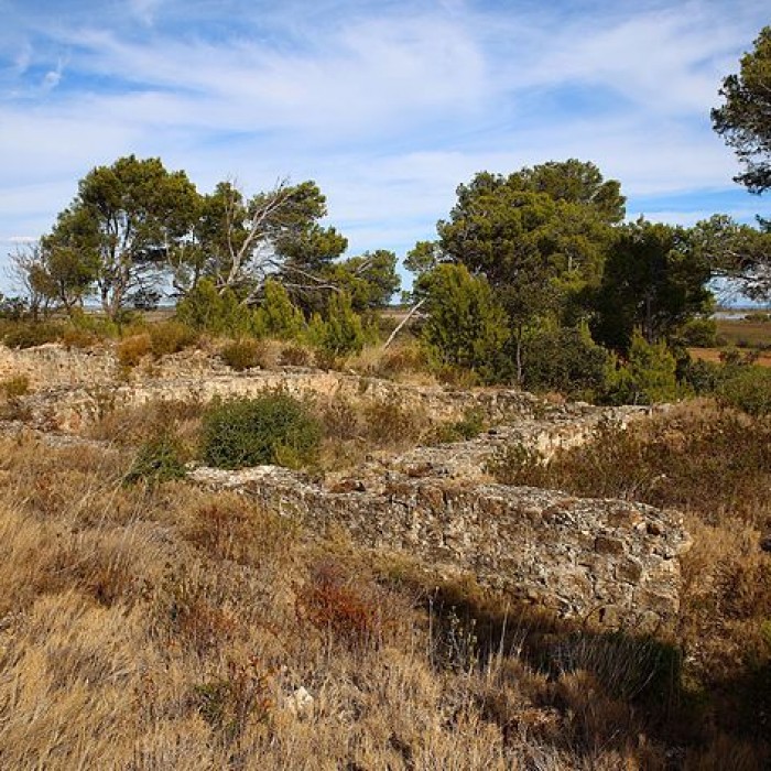 Photo de Villa gallo-romaine, dite Fount de Rome à Fleury