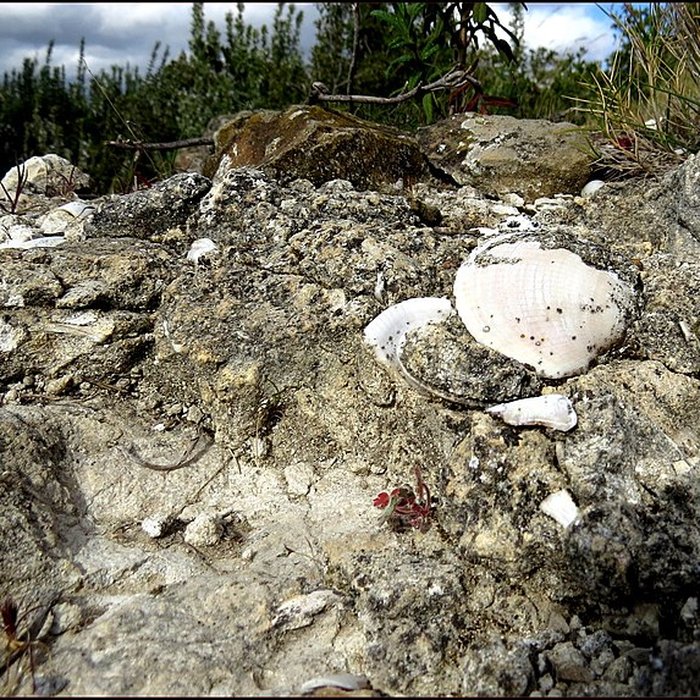 Photo de Villa gallo-romaine, dite Fount de Rome à Fleury