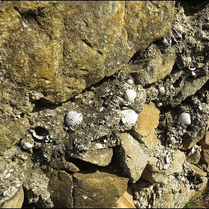 Photo de Villa gallo-romaine, dite Fount de Rome à Fleury