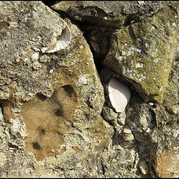 Villa gallo-romaine, dite Fount de Rome à Fleury