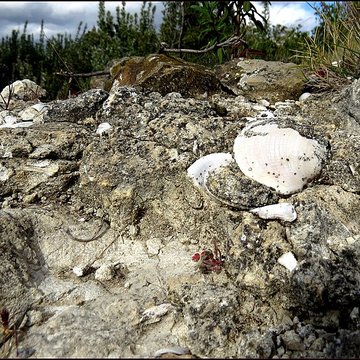 Villa gallo-romaine, dite Fount de Rome à Fleury