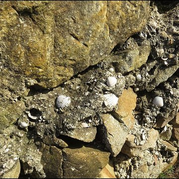 Villa gallo-romaine, dite Fount de Rome à Fleury