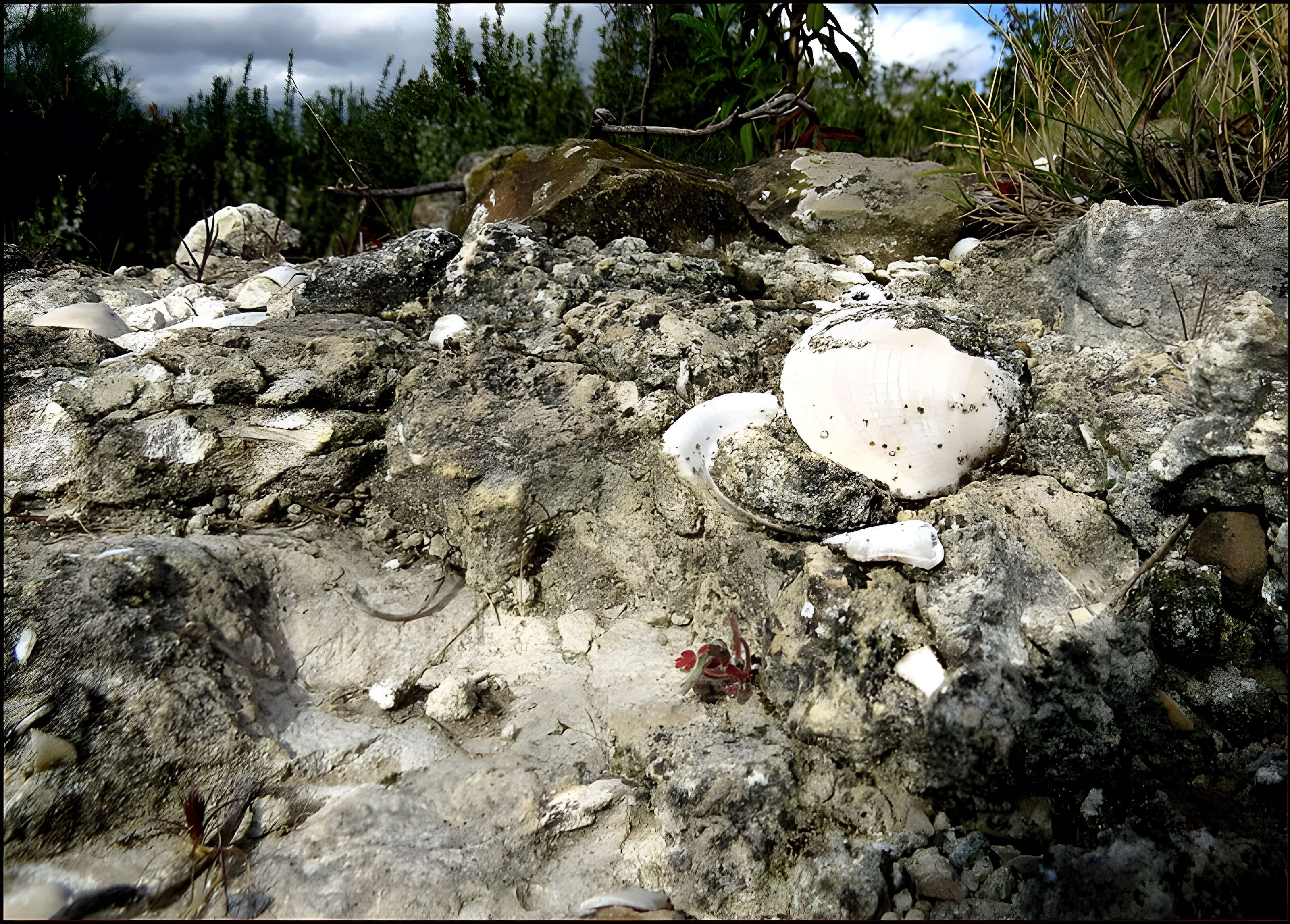 Villa gallo-romaine, dite Fount de Rome à Fleury