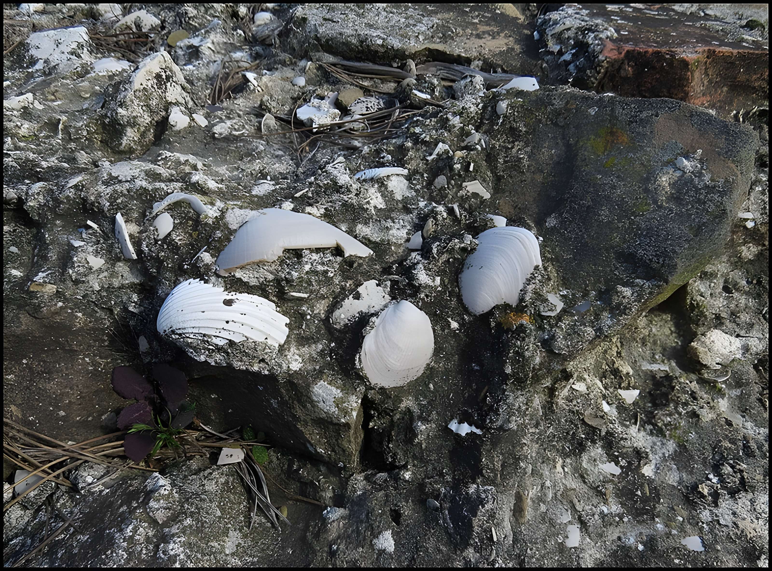 Villa gallo-romaine, dite Fount de Rome à Fleury