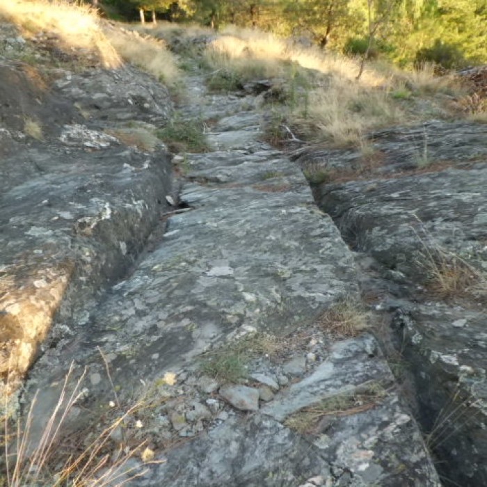 Photo de Voie romaine de Coudouloux au Collet-de-Dèze