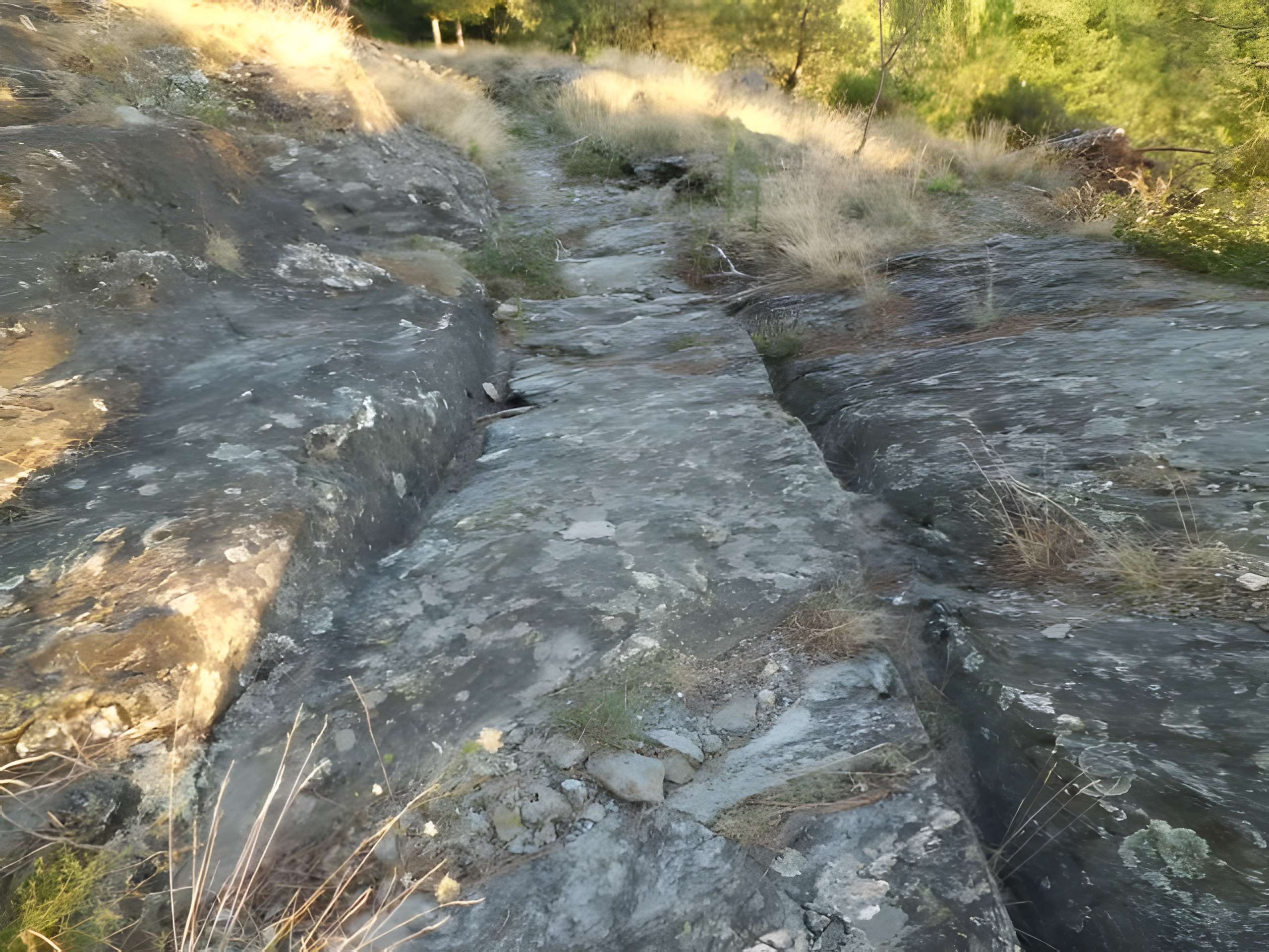 Voie romaine de Coudouloux au Collet-de-Dèze 