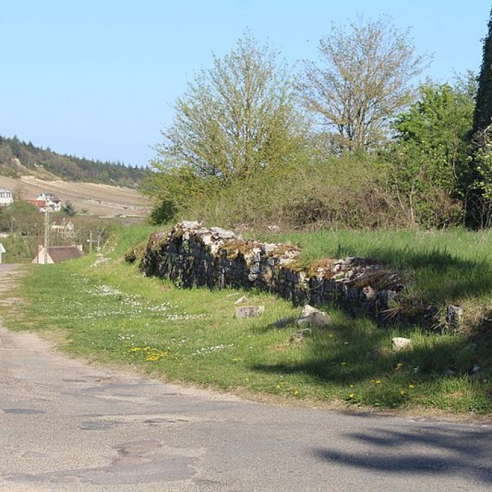 Photo de Voie romaine de Mercurey