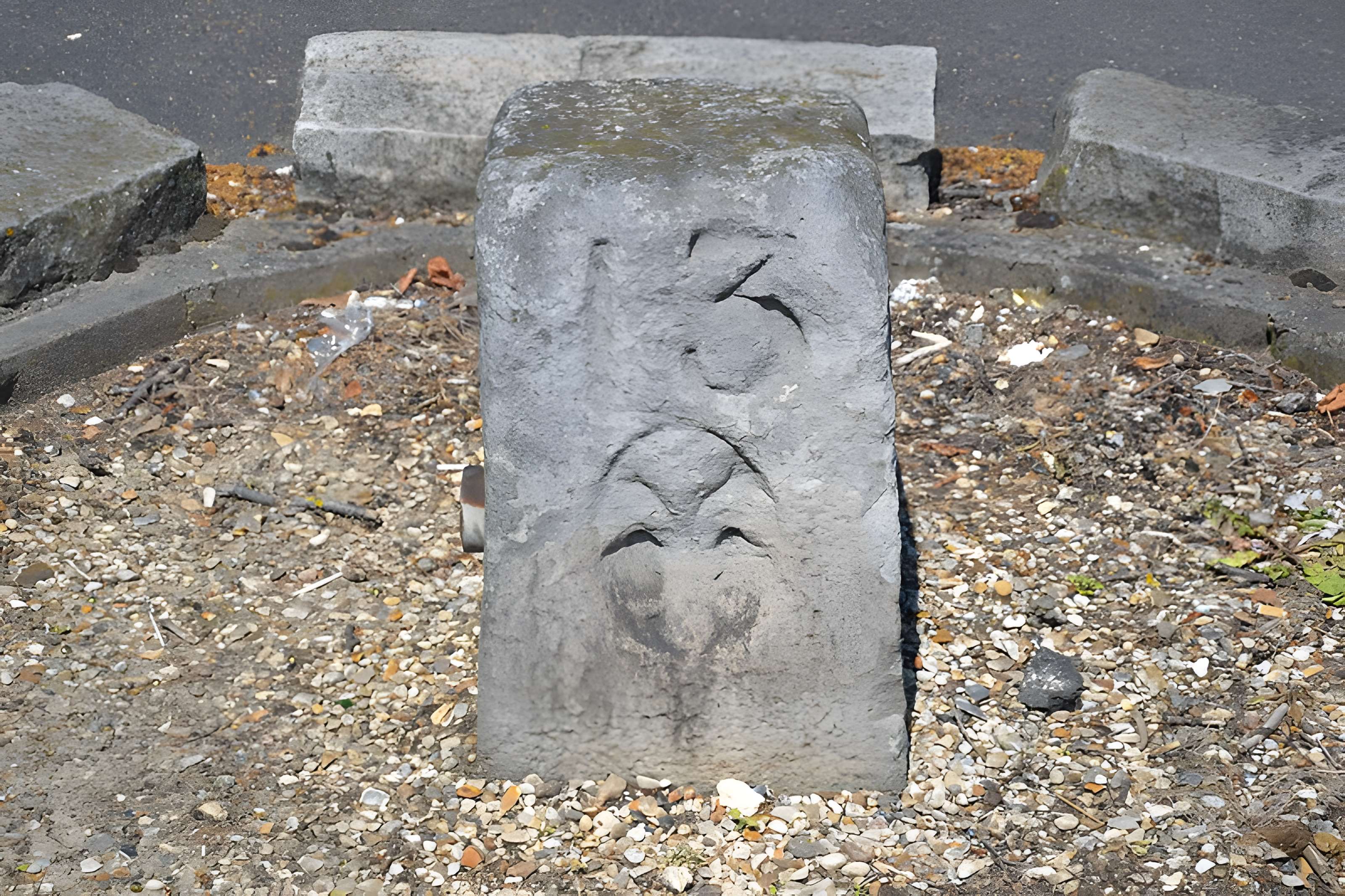 2 Bornes fleurdelysée de Sainte-Geneviève-des-Bois