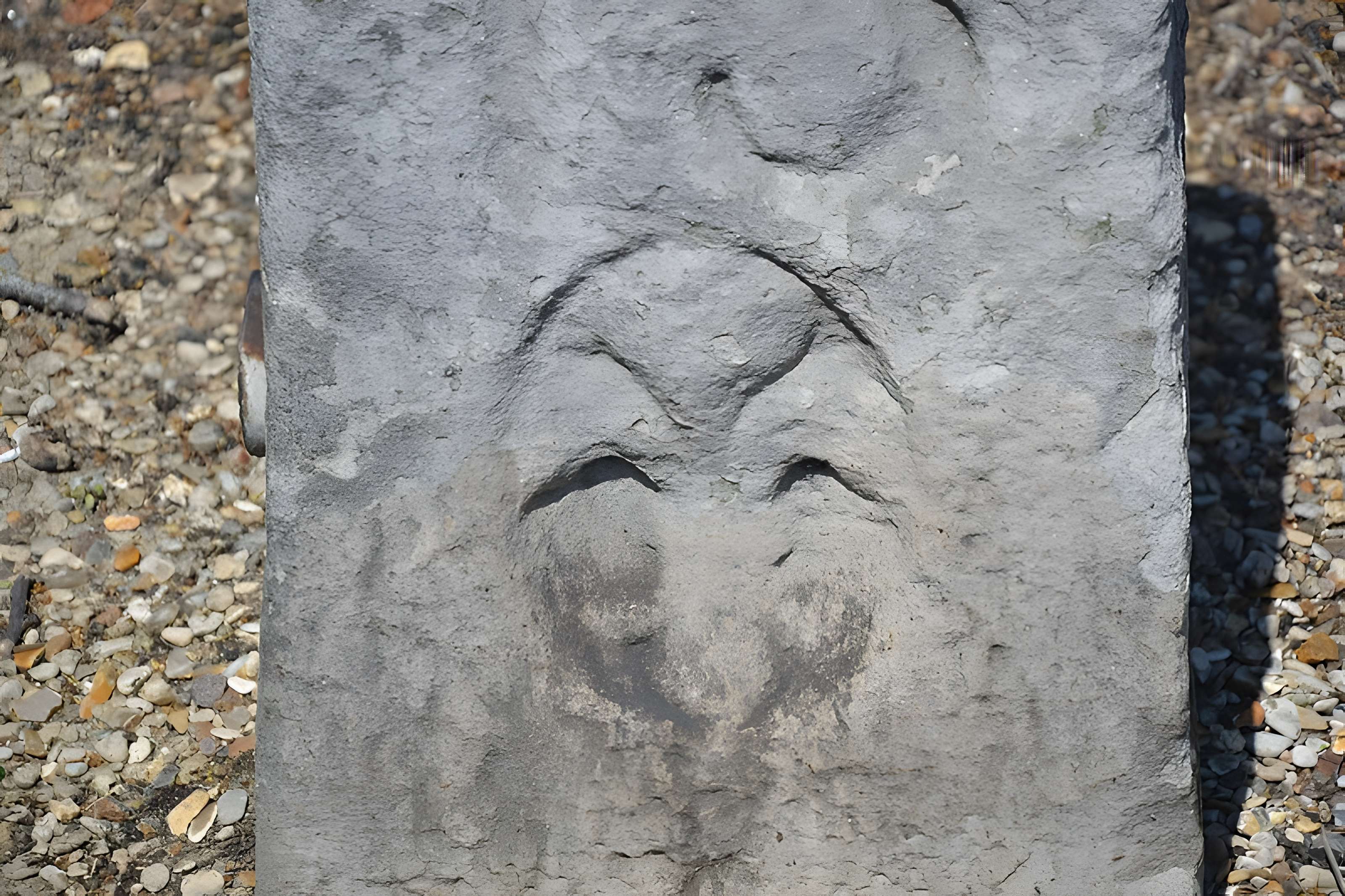 2 Bornes fleurdelysée de Sainte-Geneviève-des-Bois