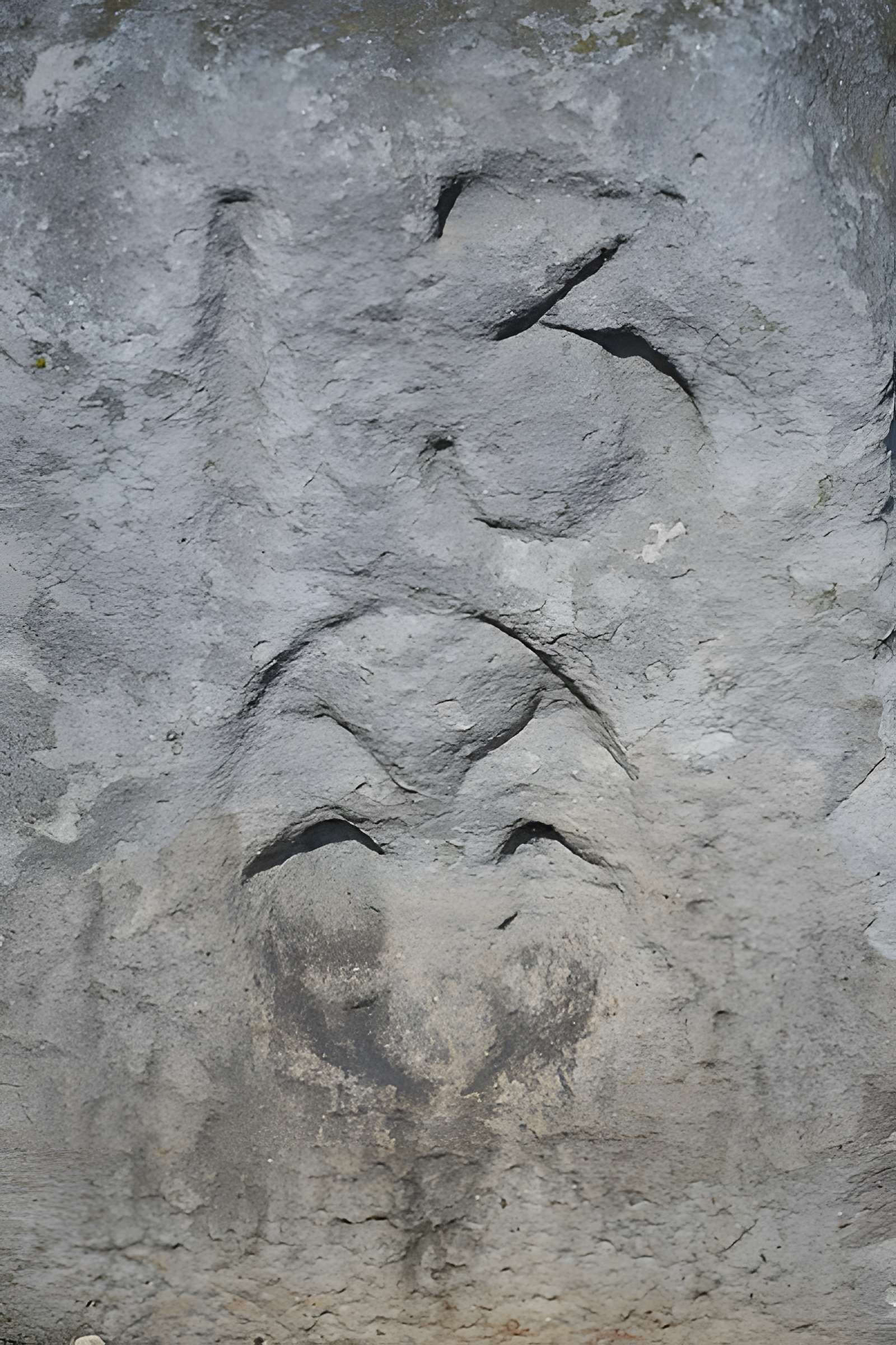 2 Bornes fleurdelysée de Sainte-Geneviève-des-Bois