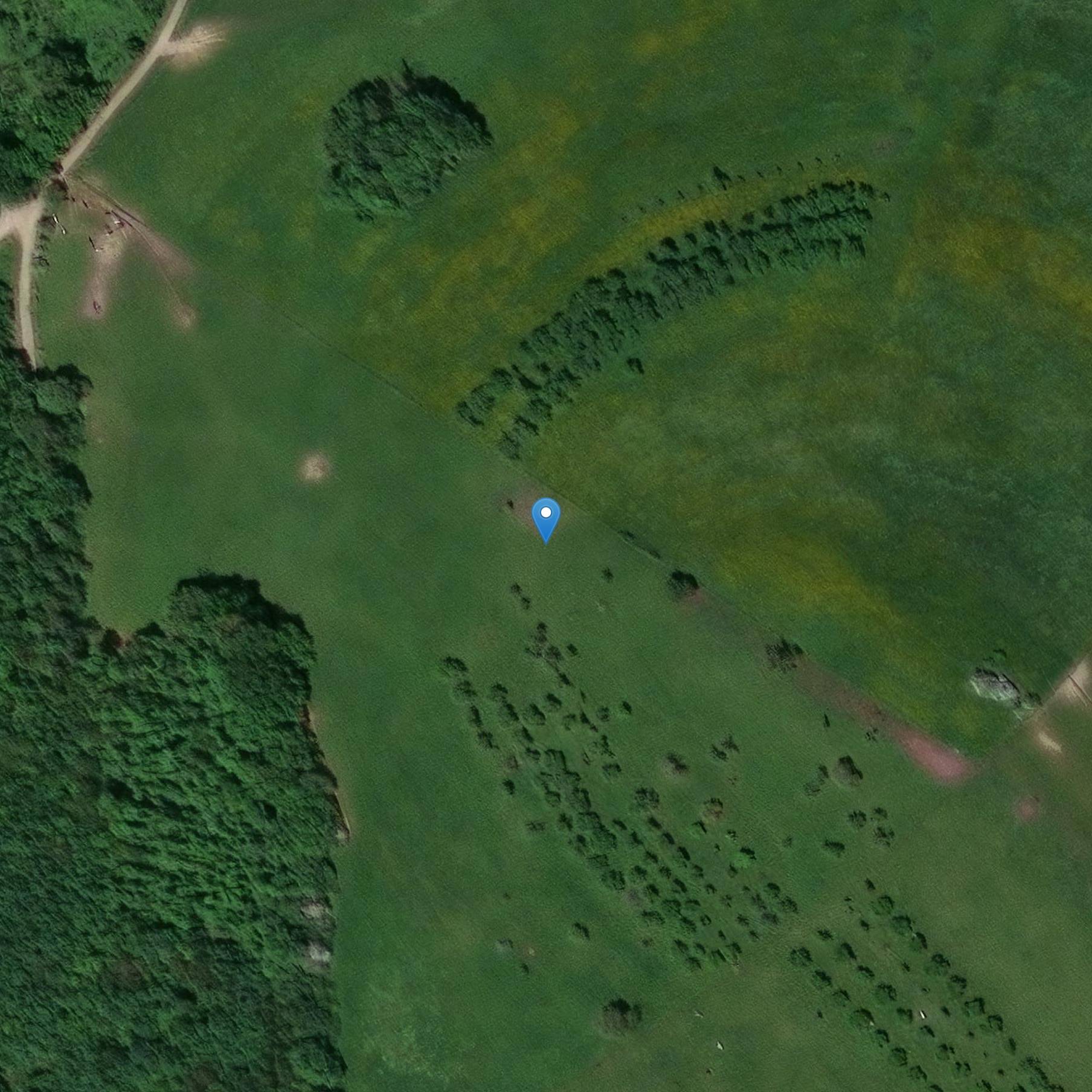 Photo de 2 ヴィオクルト・クロス