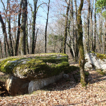 2 Dolmens de Laramière : dolmen de Marcigaliet face latérale