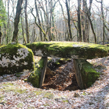 2 Dolmens de Laramière : dolmen de Marcigaliet face postérieure