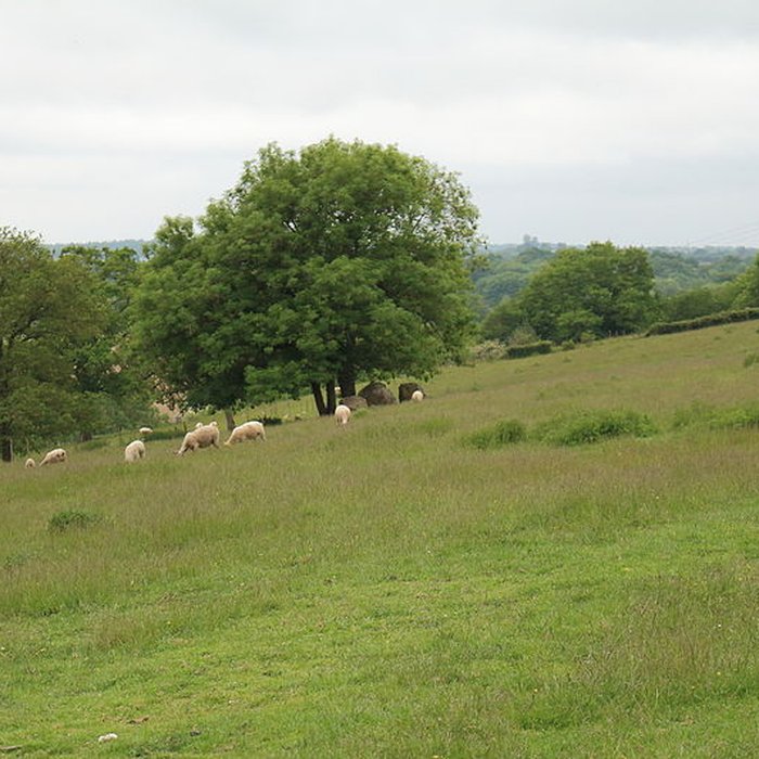 Photo de 2 Menhirs à Bouchamps-lès-Craon