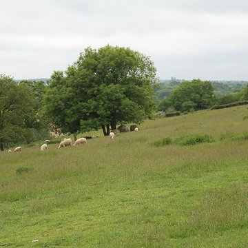 2 menhirs a bouchamps les craon