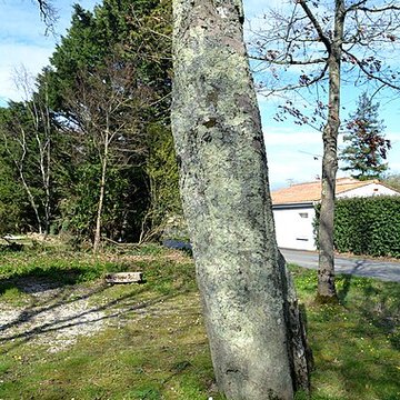 Deux menhirs dénommés Les Pierres Jumelles