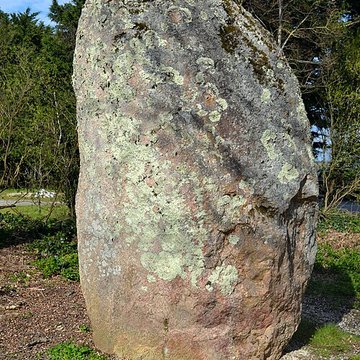 Deux menhirs dénommés Les Pierres Jumelles