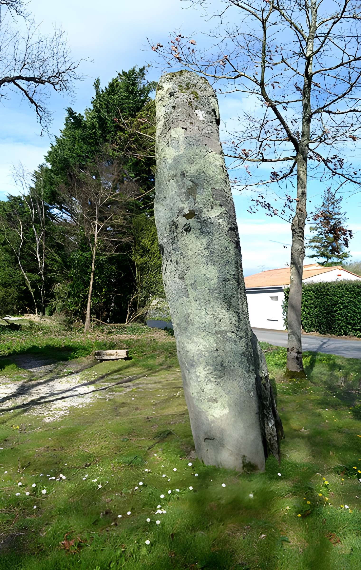 Deux menhirs dénommés Les Pierres Jumelles