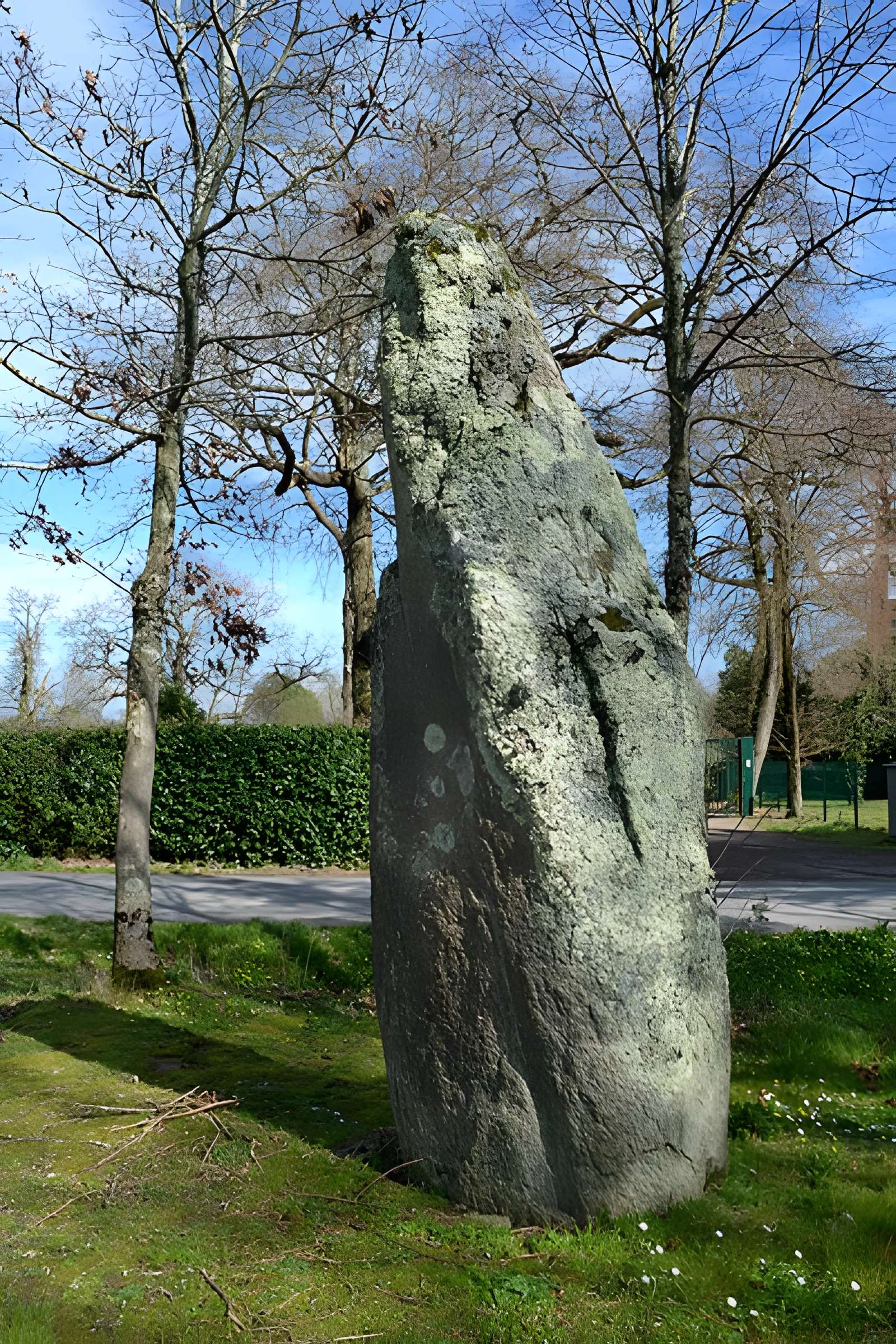 Deux menhirs dénommés Les Pierres Jumelles