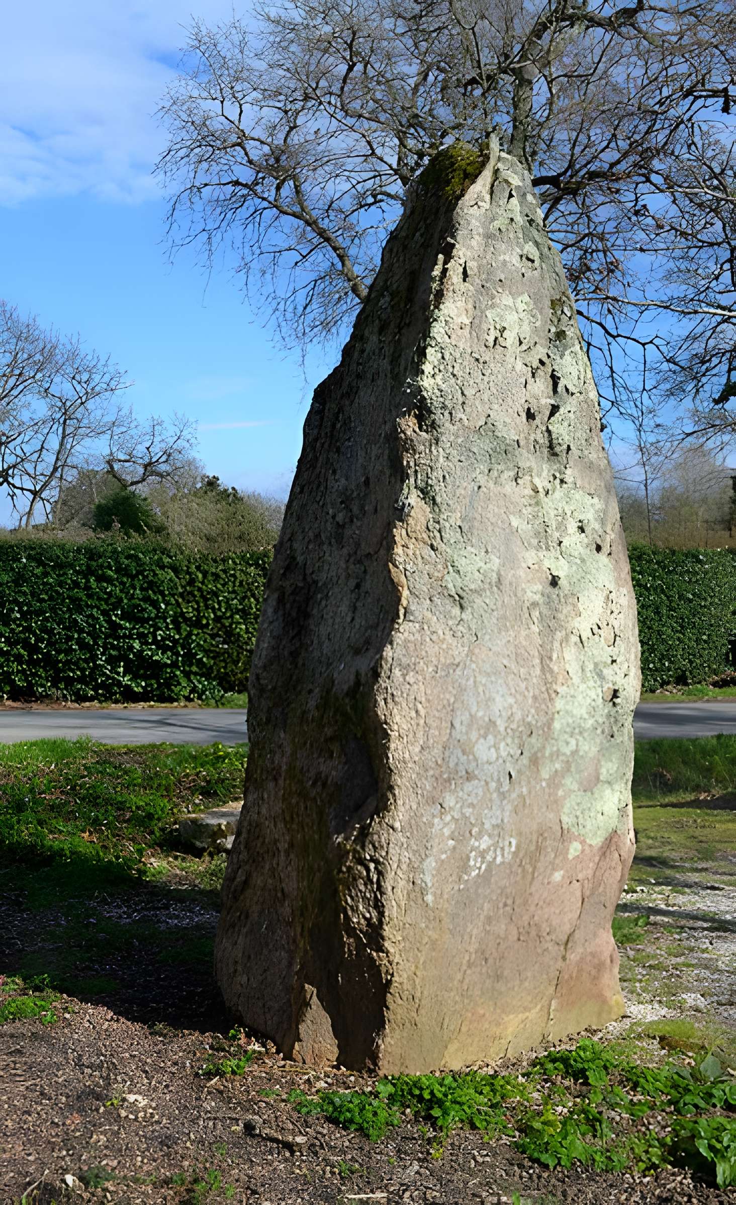 Deux menhirs dénommés Les Pierres Jumelles