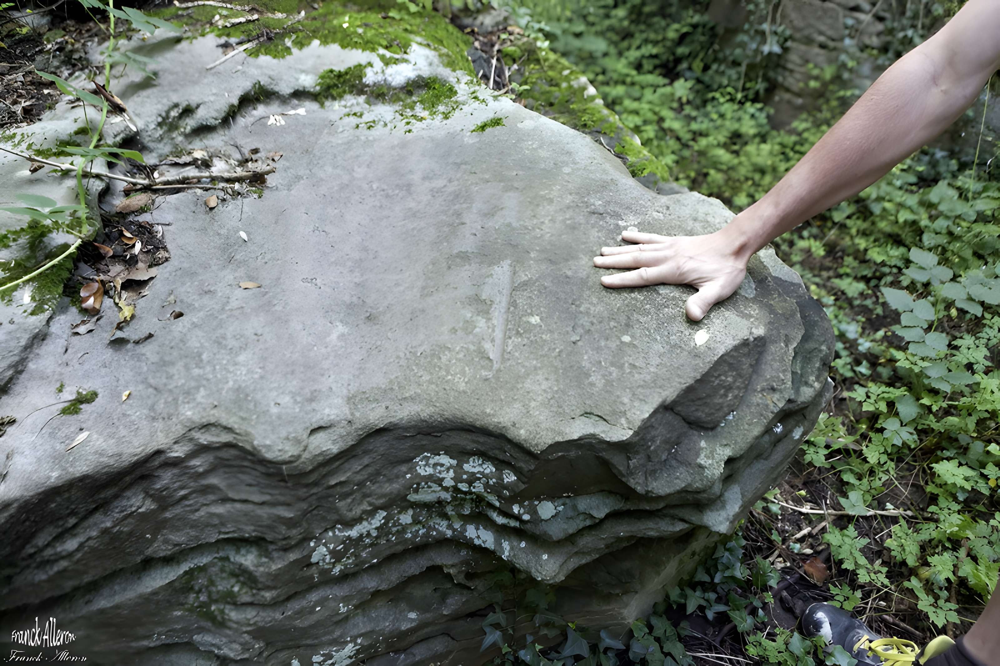 2 Polissoirs de la Pointe des Roches à Berzy-le-Sec 1 des 2