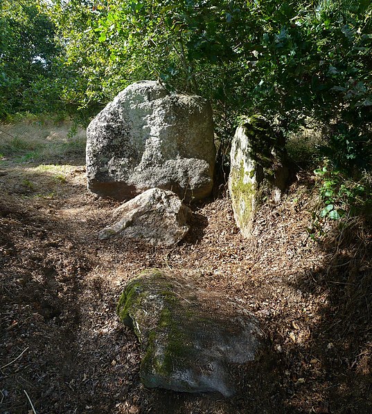 Photo de Dolmen de Sandun à Guérande