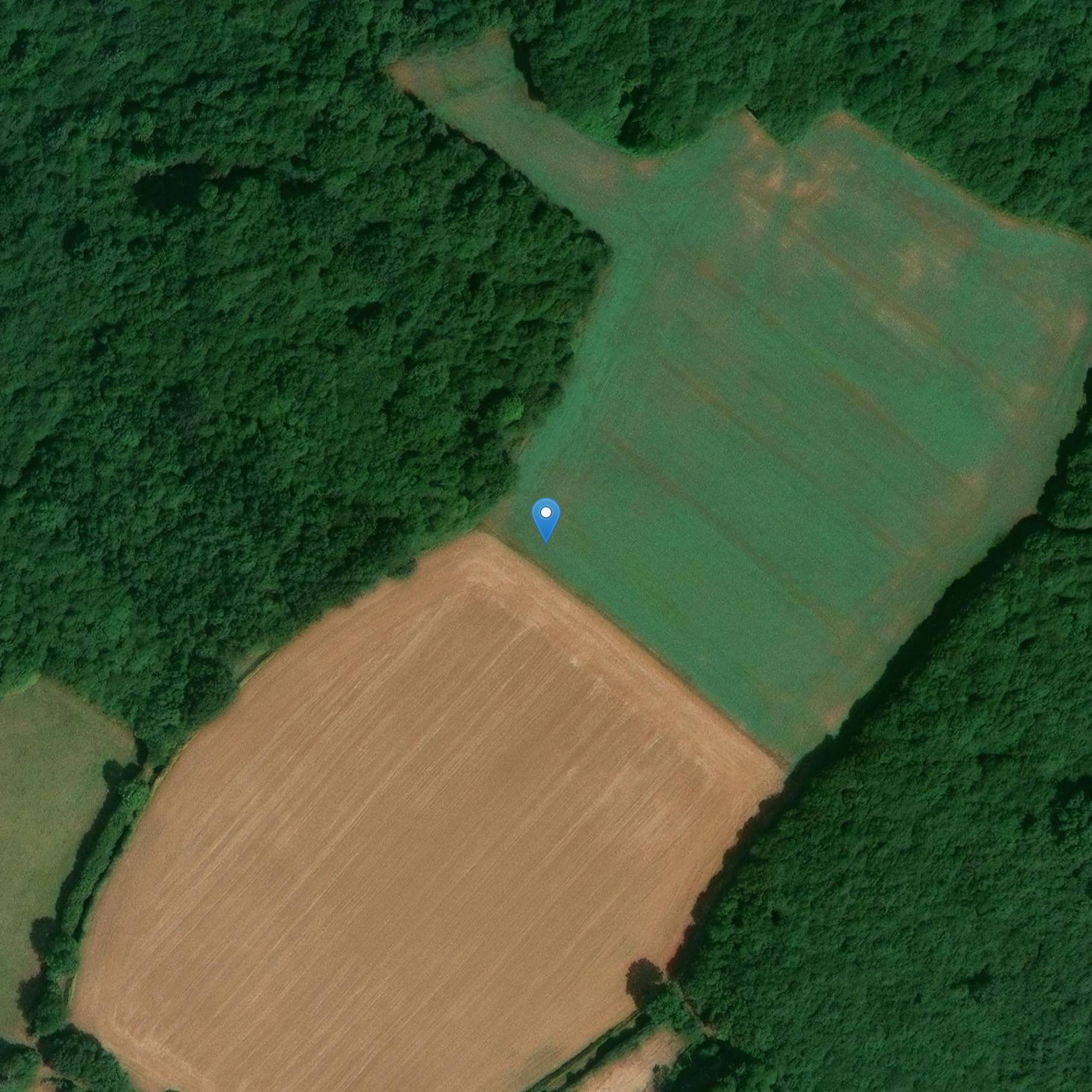 Photo de 3 Menhirs of Celles-sur-Belle