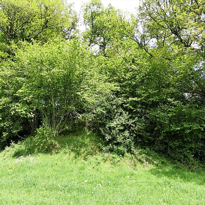 Photo de 3 Mottes castrales de Saint-Oradoux-de-Chirouze