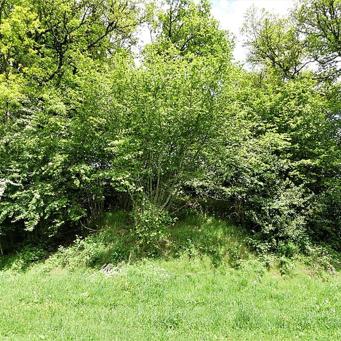 Photo de 3 Mottes castrales de Saint-Oradoux-de-Chirouze