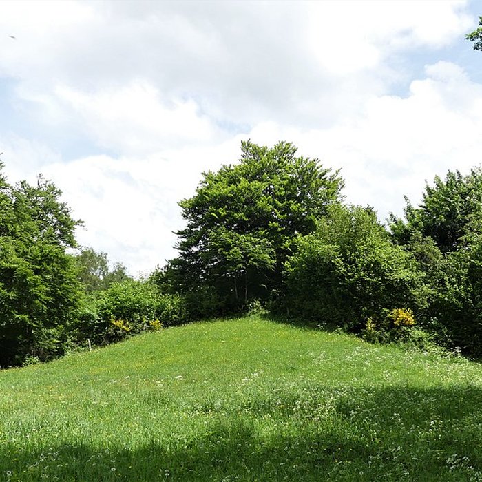 Photo de 3 Mottes castrales de Saint-Oradoux-de-Chirouze