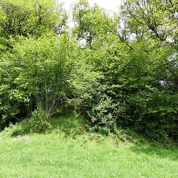 3 Mottes castrales de Saint-Oradoux-de-Chirouze