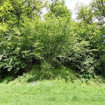 3 Mottes castrales de Saint-Oradoux-de-Chirouze