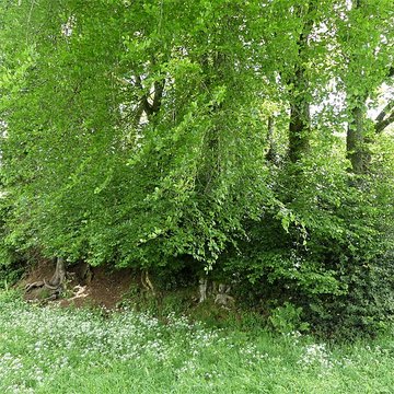 3 Mottes castrales de Saint-Oradoux-de-Chirouze