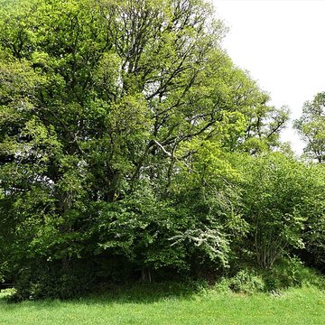 3 Mottes castrales de Saint-Oradoux-de-Chirouze
