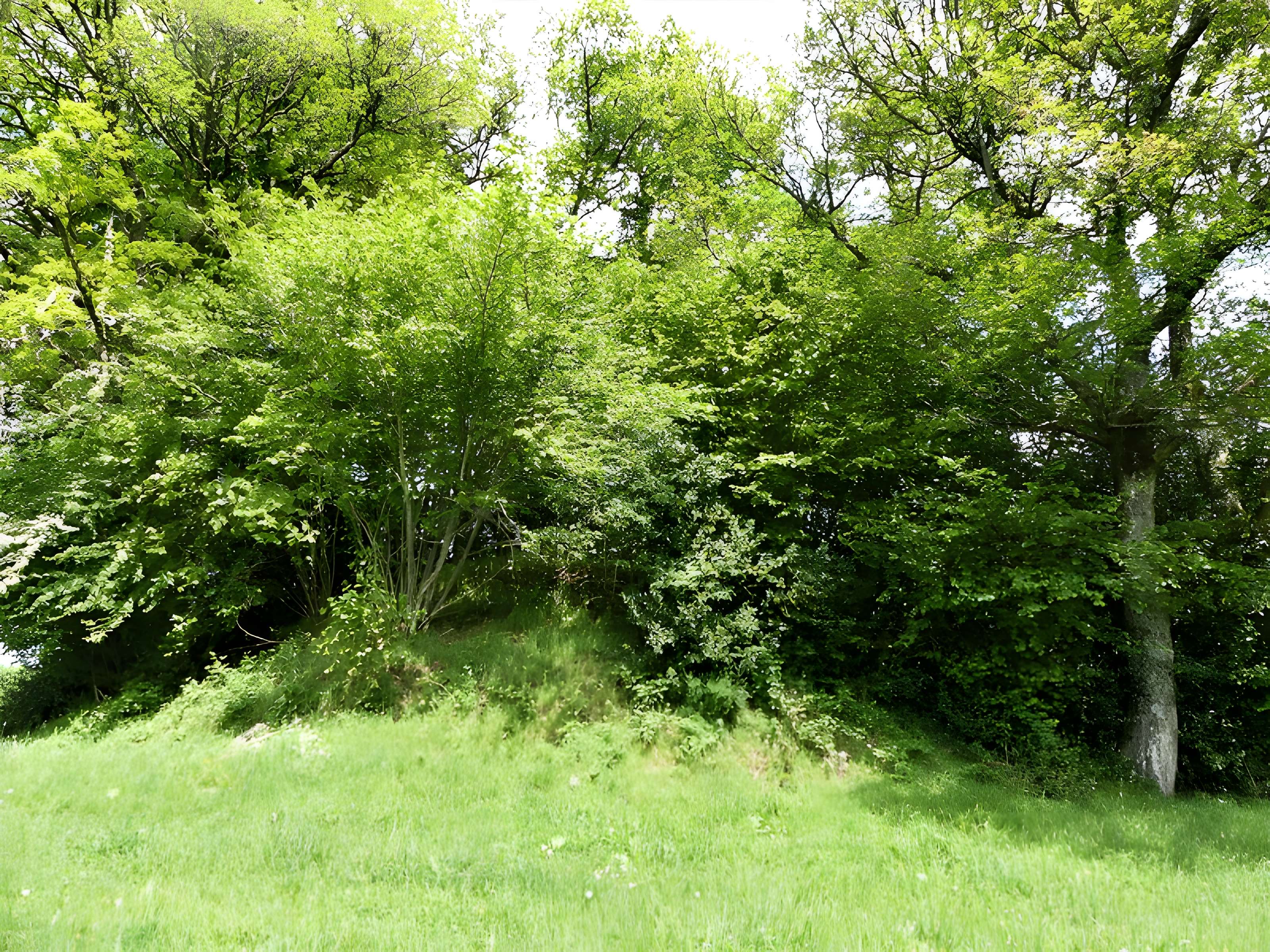 3 Mottes castrales de Saint-Oradoux-de-Chirouze