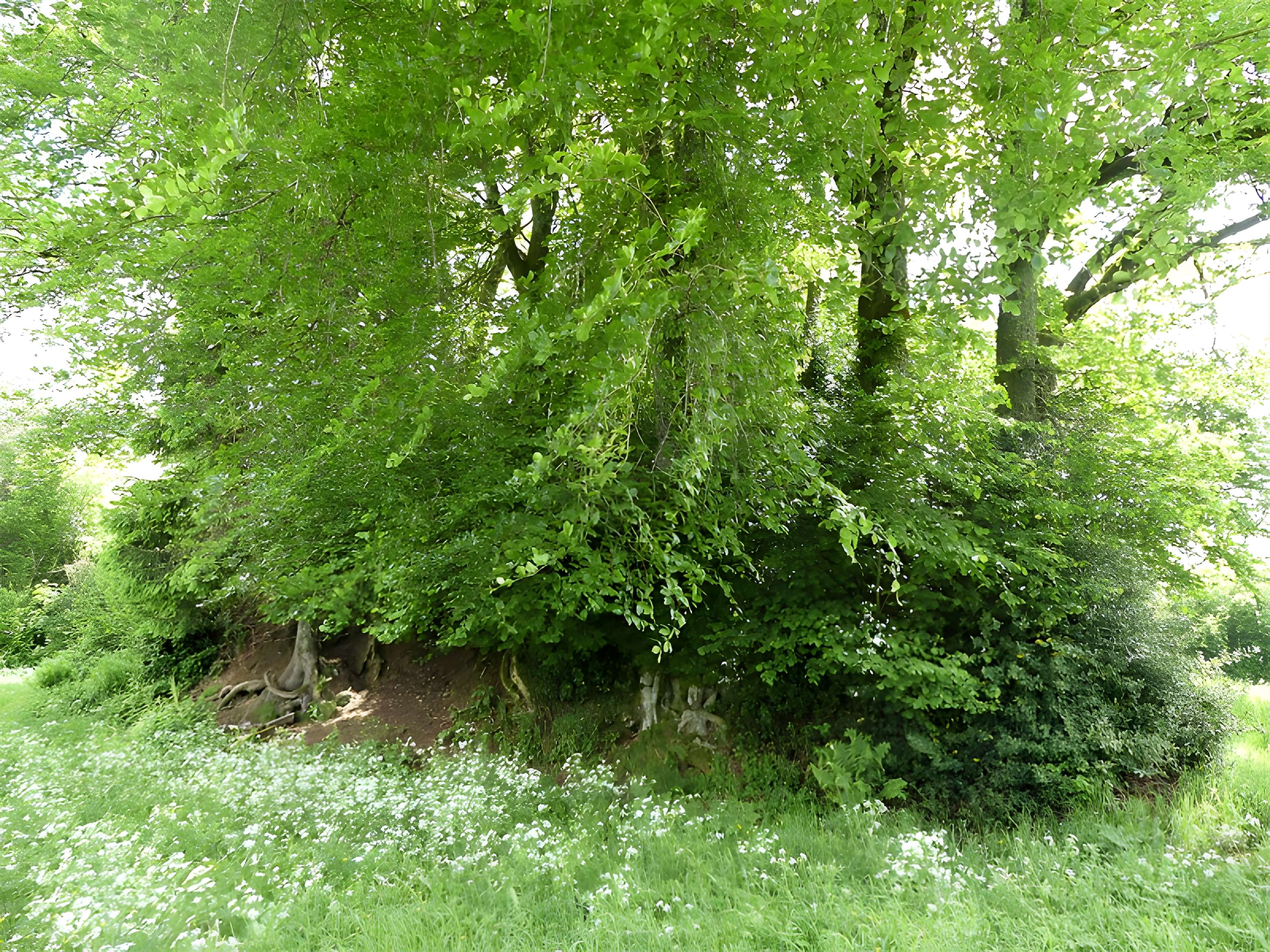 3 Mottes castrales de Saint-Oradoux-de-Chirouze