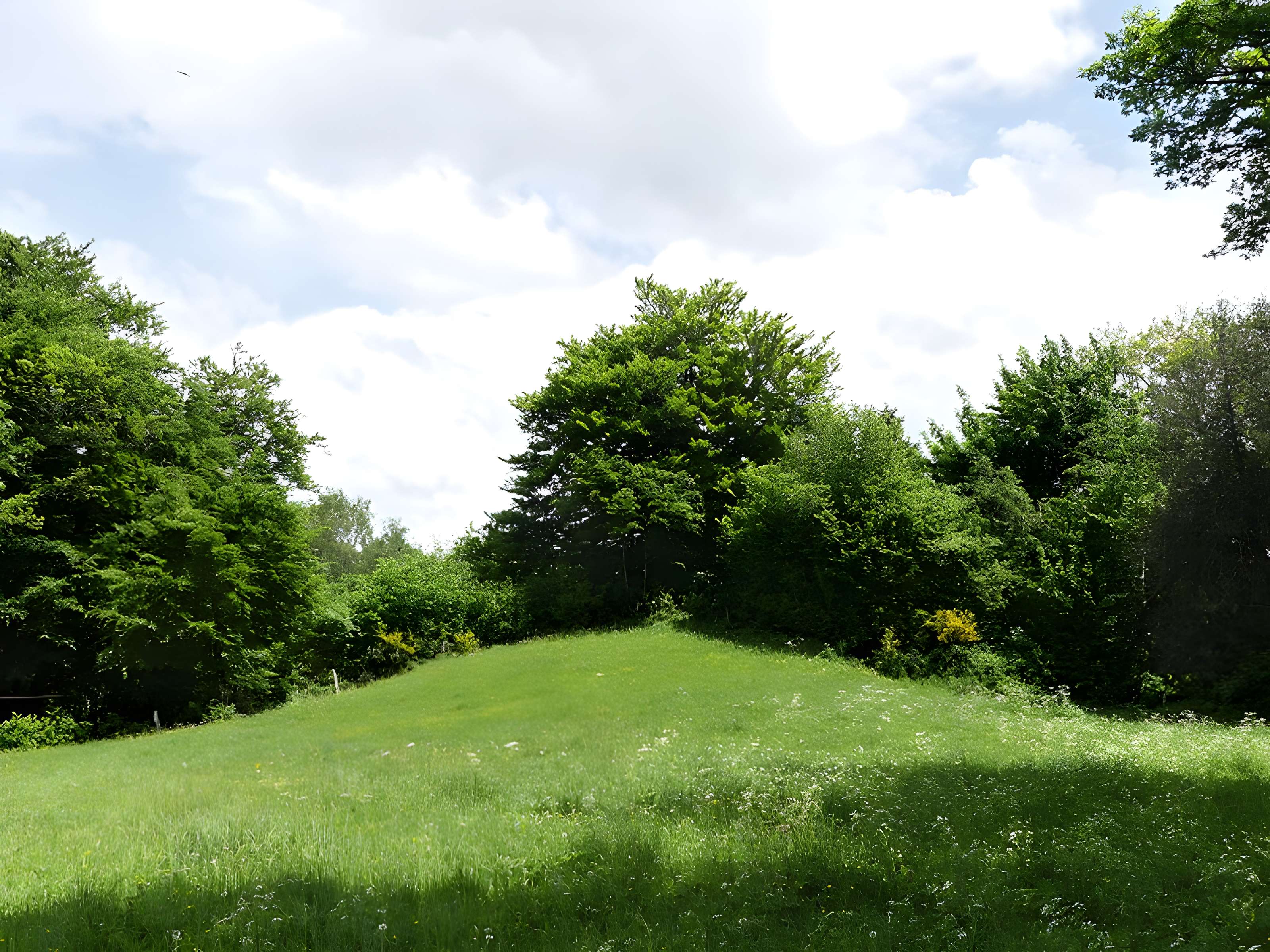 3 Mottes castrales de Saint-Oradoux-de-Chirouze