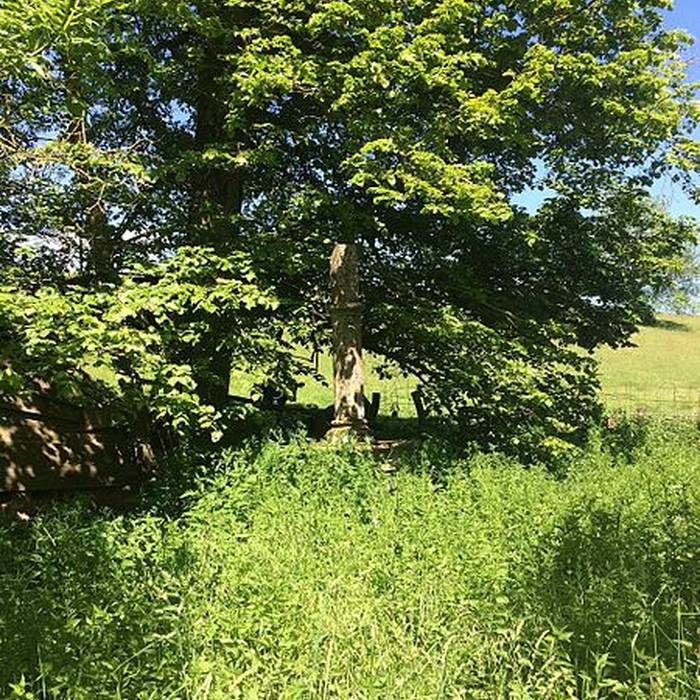 Photo de Croix de Rolampont