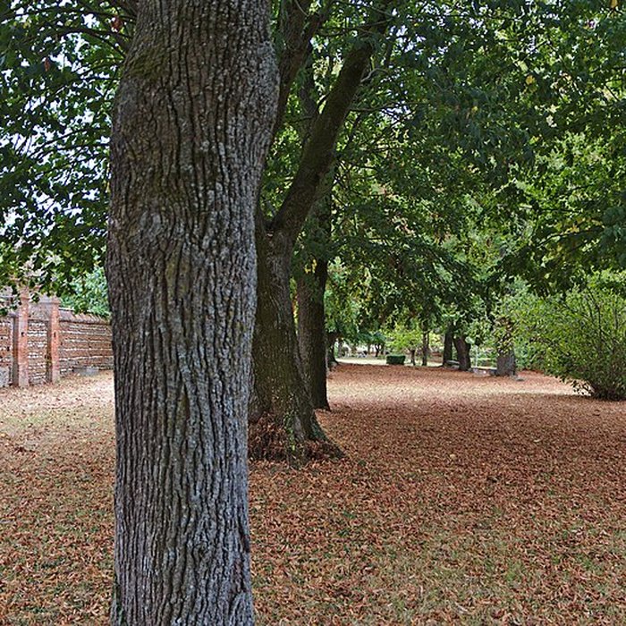 Photo de Abbaye de Boulbonne