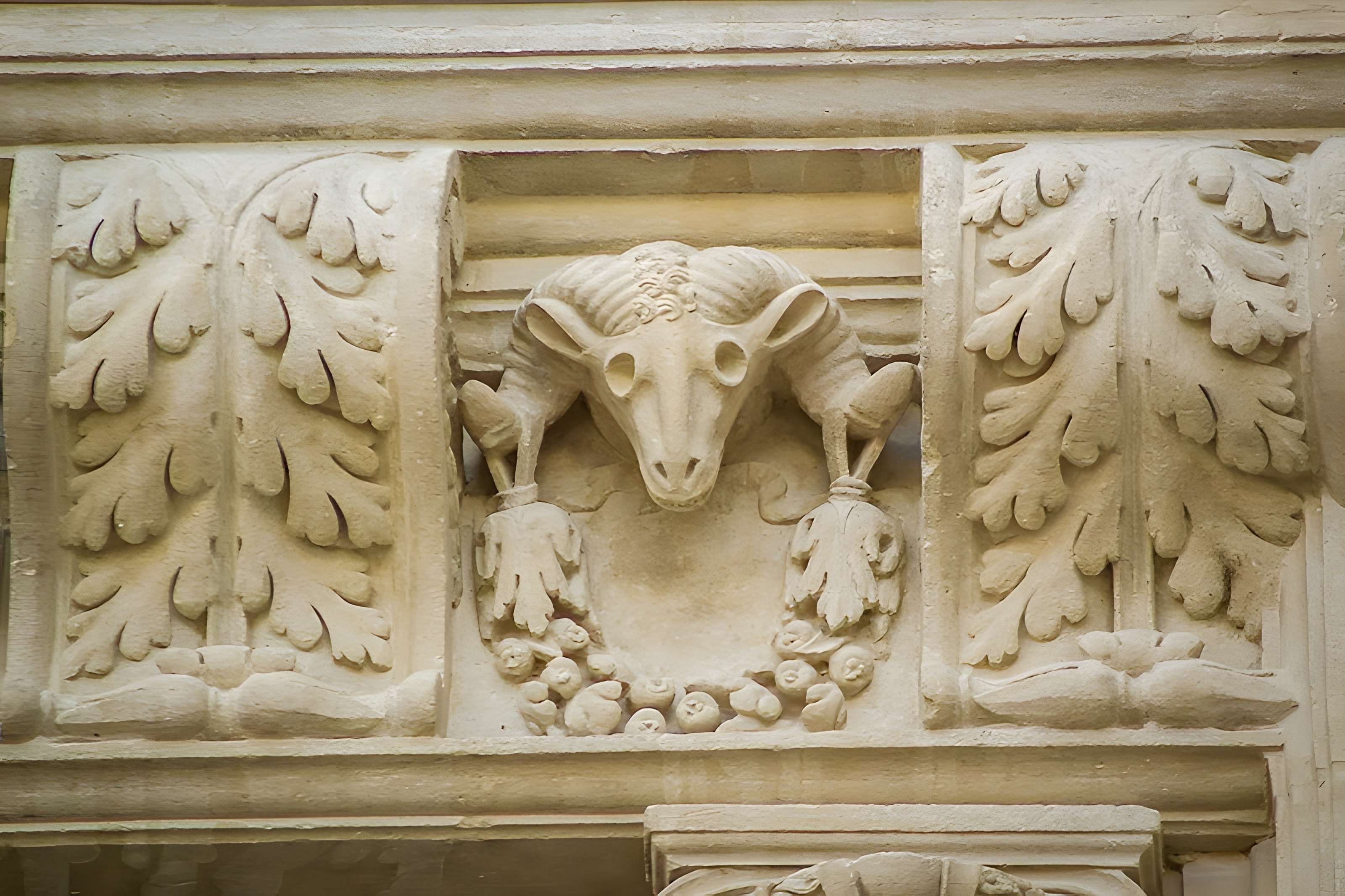 Maison des Chevaliers de Viviers