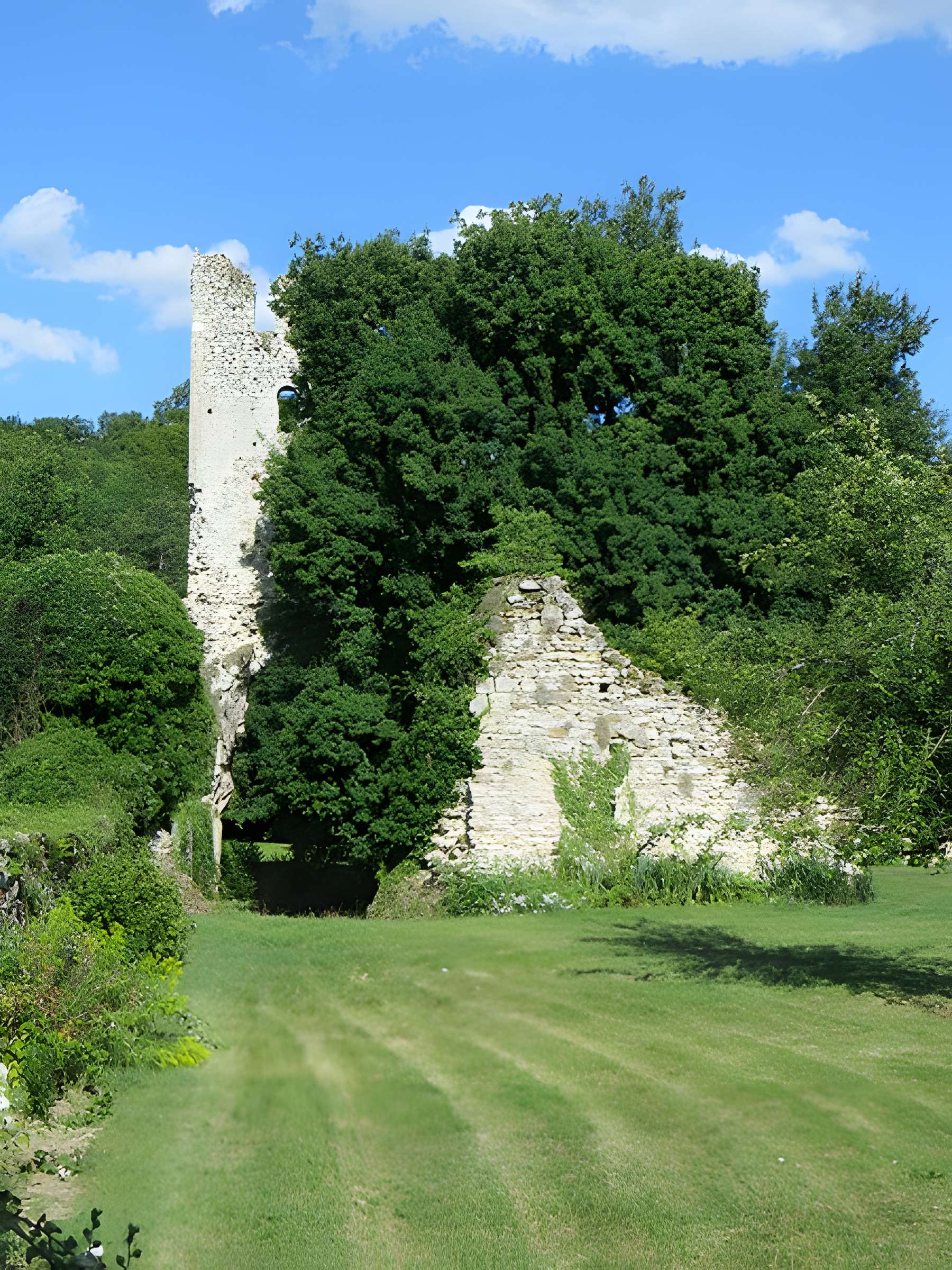 Abbaye de Nesle-la-Reposte