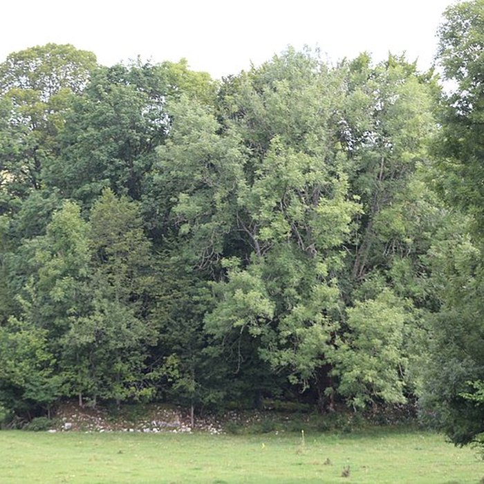 Photo de Ancienne abbaye de Saint-Sulpice