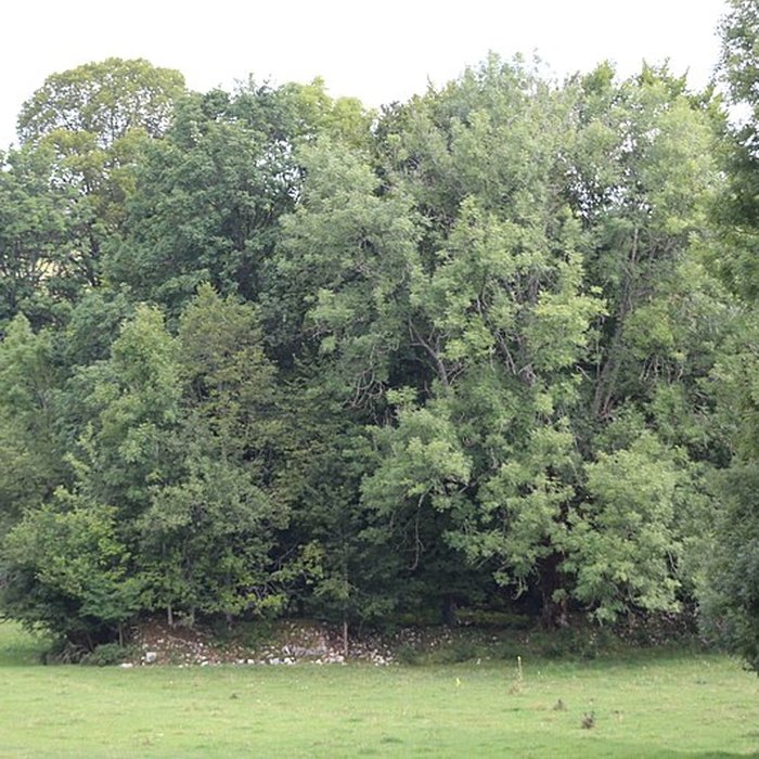 Photo de Ancienne abbaye de Saint-Sulpice