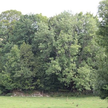Ancienne abbaye de Saint-Sulpice