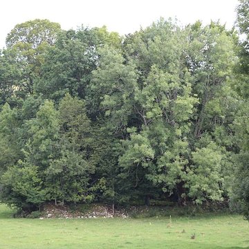 Ancienne abbaye de Saint-Sulpice